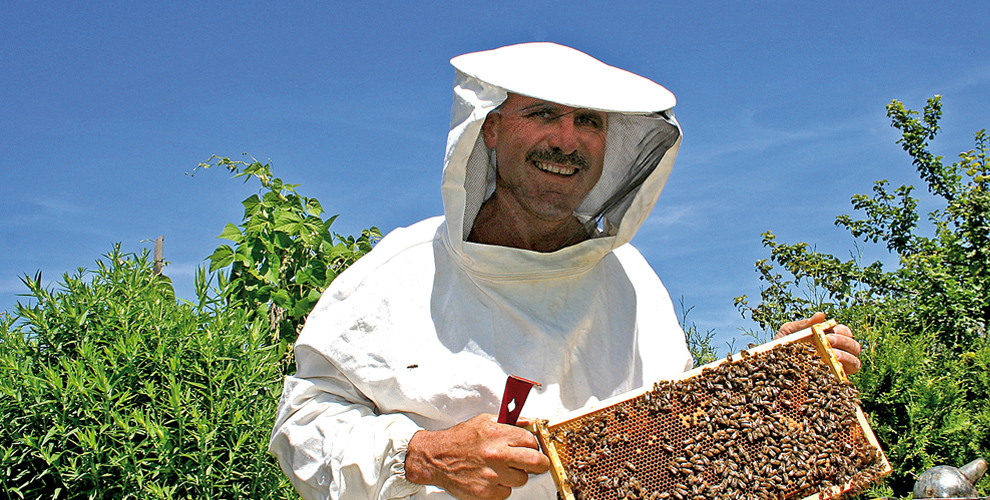 Imkereimeister Gerhard Kasper