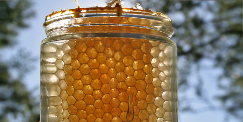 wabenhonig